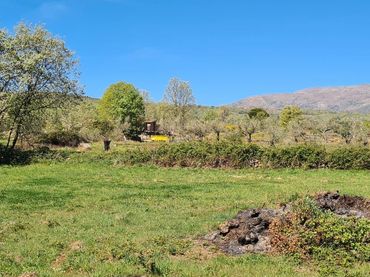 Terreno rústico en venta en Jarandilla de la Vera