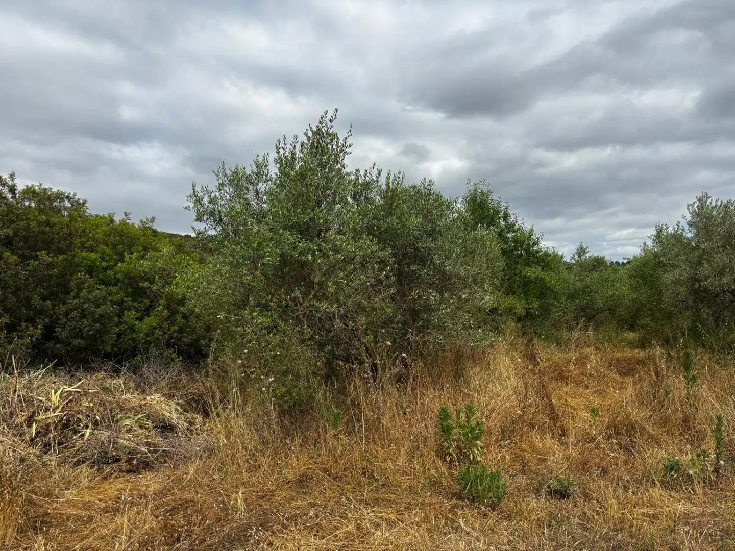 Casa o xalet en venda en Azuébar amb Terrassa