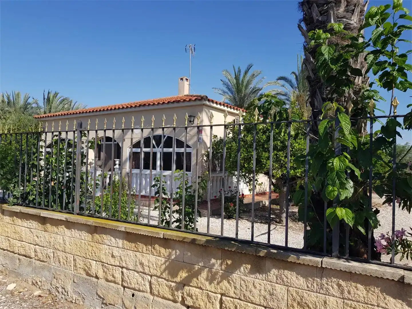 Vista exterior de Casa o xalet en venda en Elche / Elx amb Aire condicionat i Piscina
