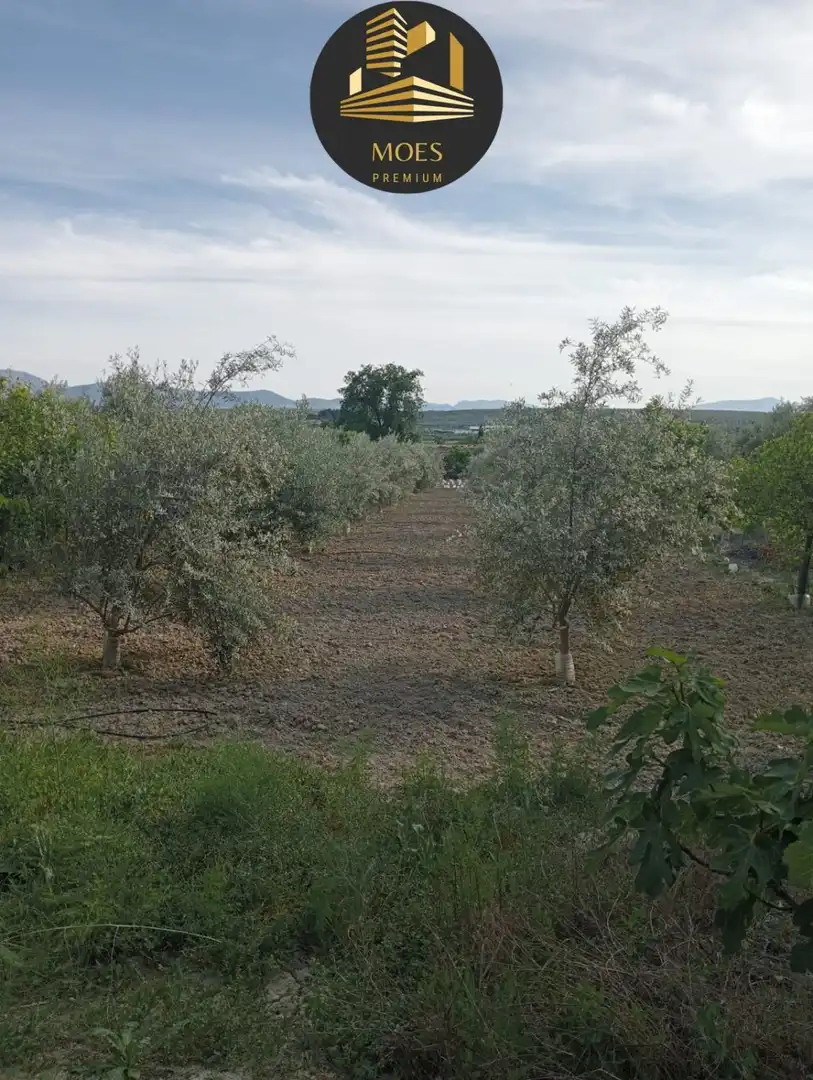 Villa zum Verkauf in Begíjar, imagen 38