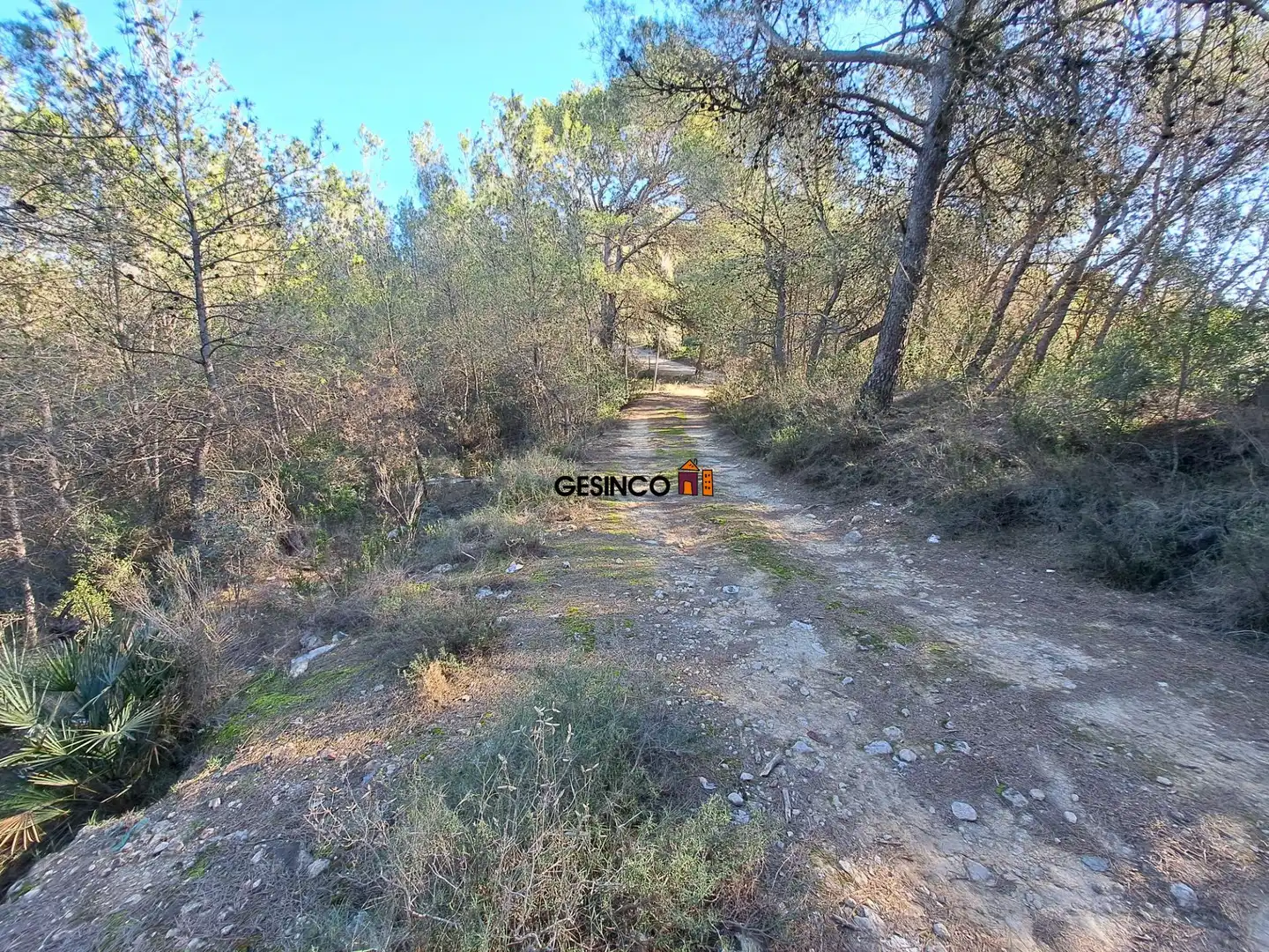 Terreno rústico en venta en Villanueva de Castellón, imagen 5