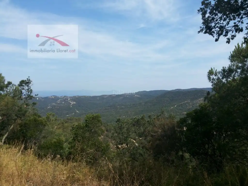 Terreno residencial en venta en Carrer de les Orenetes 43