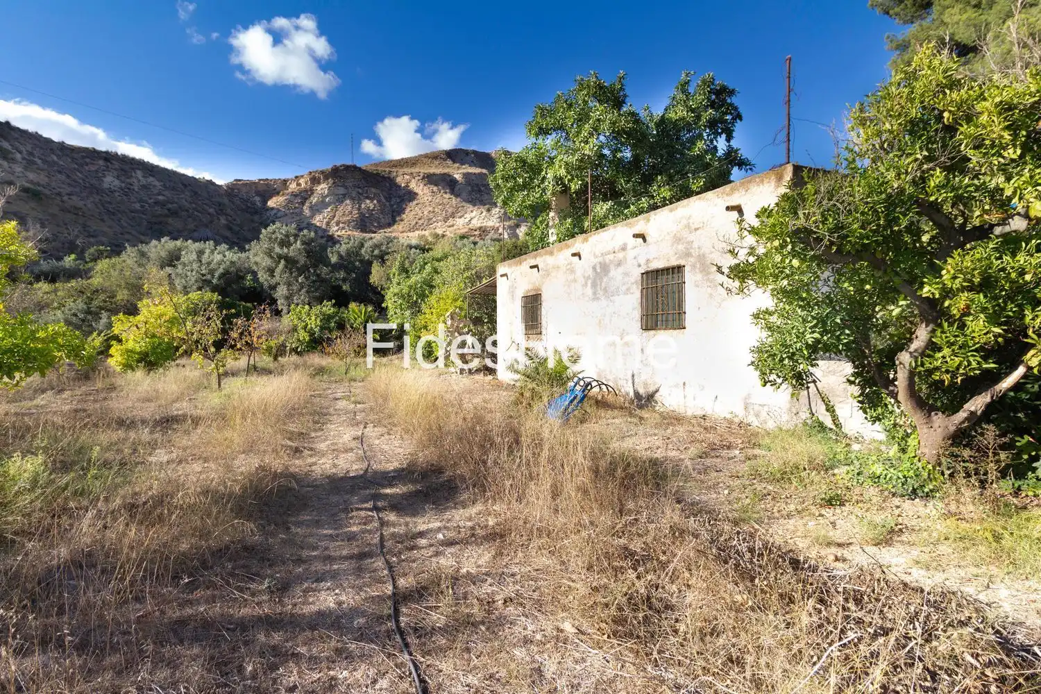 Terreno rustico in vendita a XC2W+49C Talará 0