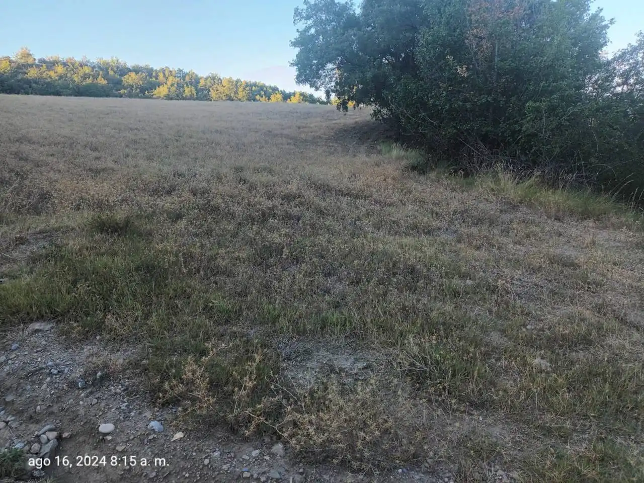 Land for sale in Isábena