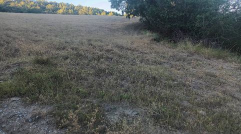 Foto 5 von Grundstücke zum Verkauf in Poligono Mont de Roda, Isábena, Huesca