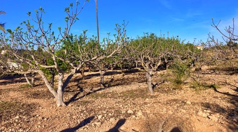 Foto 3 de Finca rústica en venda a Jubalcoi, Elche / Elx