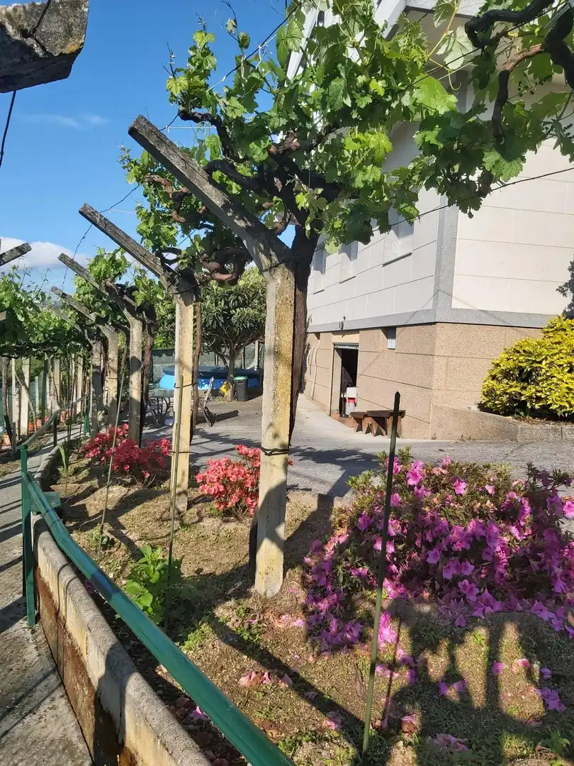 Exterior view of Houses for sale in Ourense Capital 