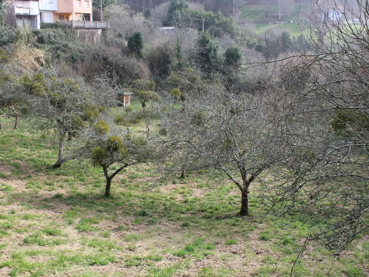 Residencial en venda en Ribadesella