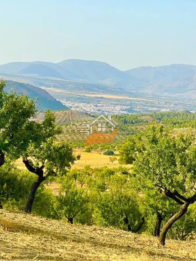 Residential land for sale in Vélez-Rubio, imagen 9