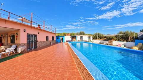 Finca rústica de 4316 m con vivienda, piscina y olivar en Segorbe