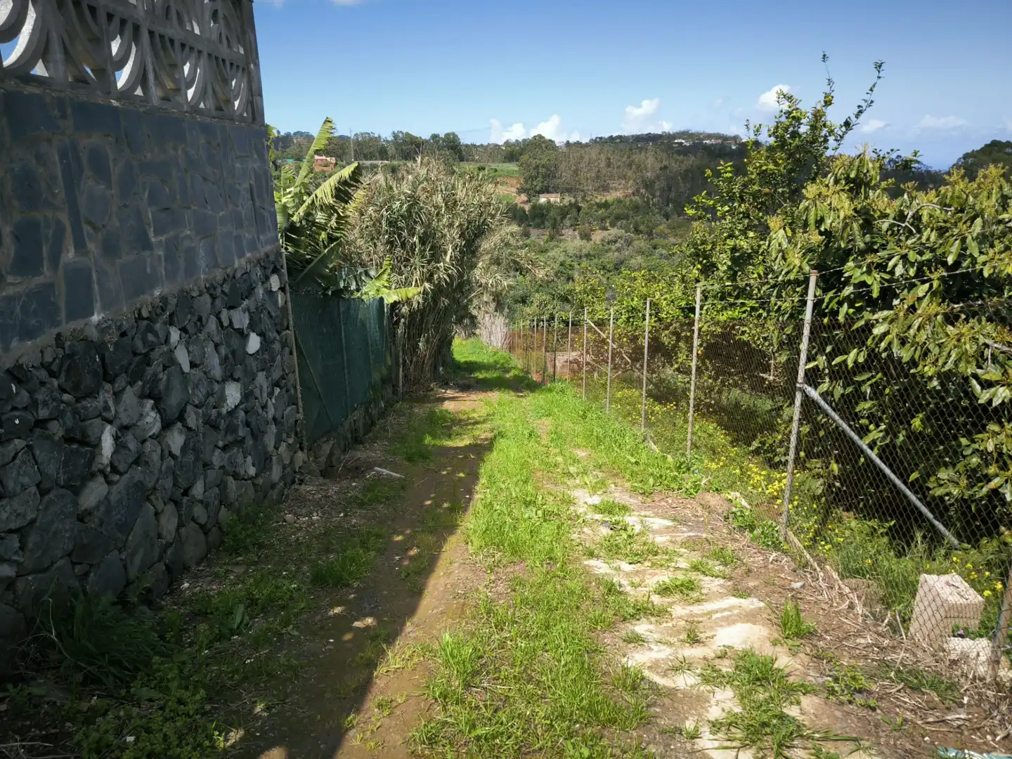 Finca rústica en venta en Moya (Las Palmas)