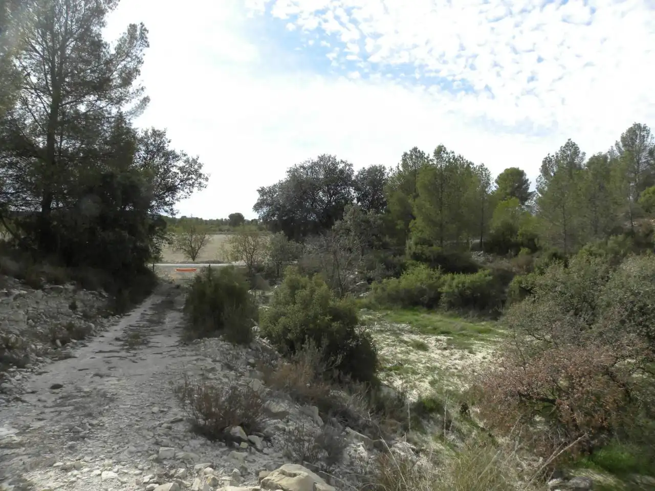 Terreno residencial en venta en Caravaca de la Cruz, imagen 14