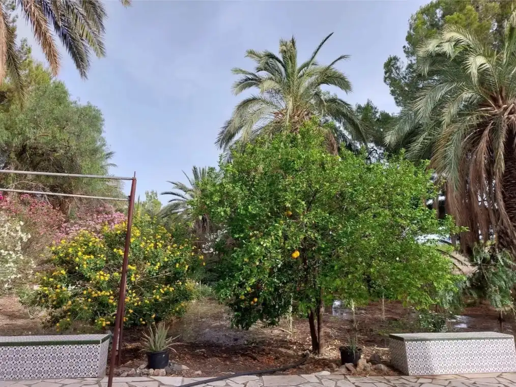 Jardín de Finca rústica en venta en Partaloa, Almería