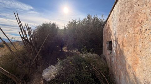 TERRENO EN INSTINCIÓN, immagine 5