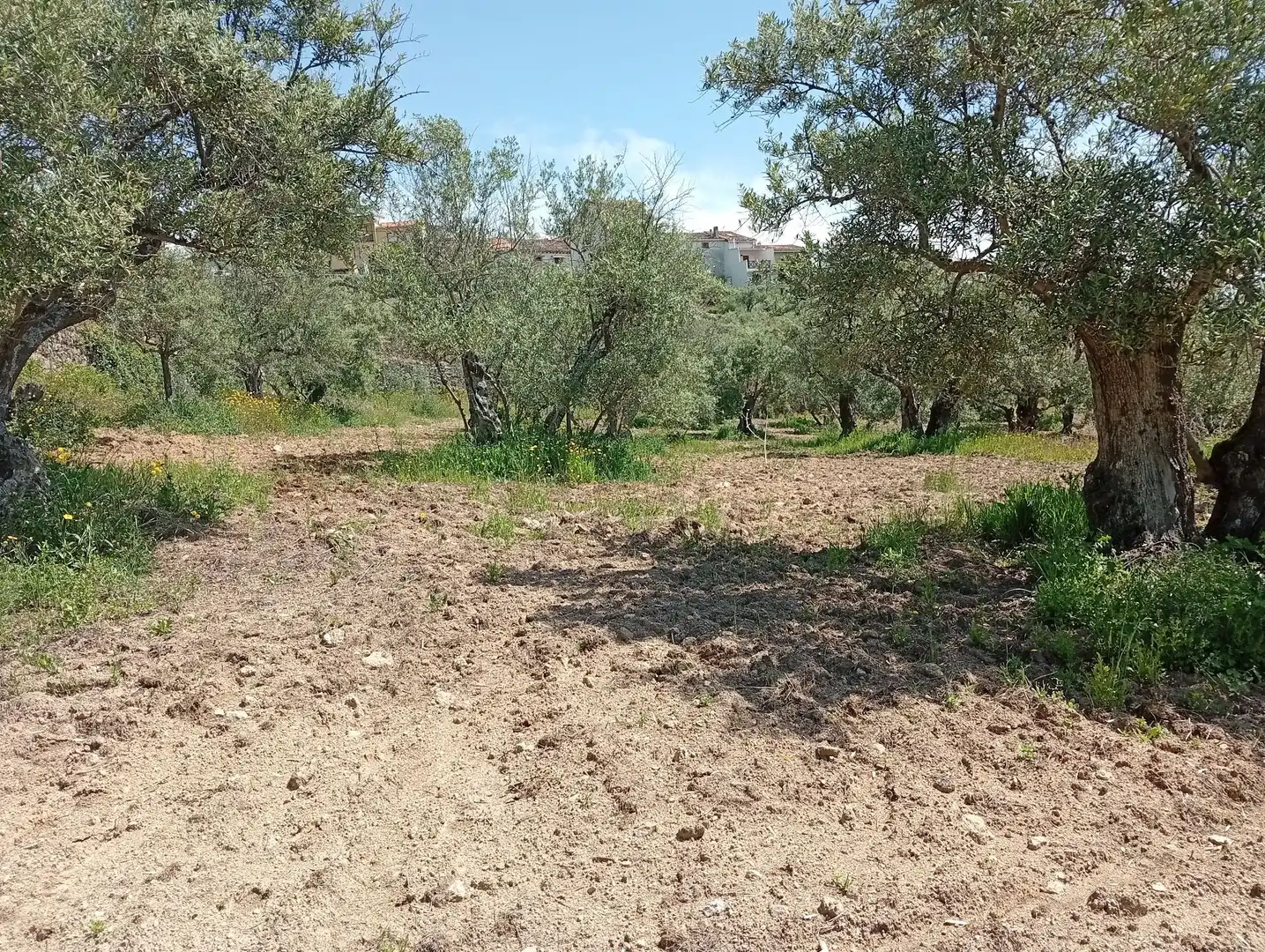 Terreni e lotti in vendita a Villanueva de la Vera, imagen 61