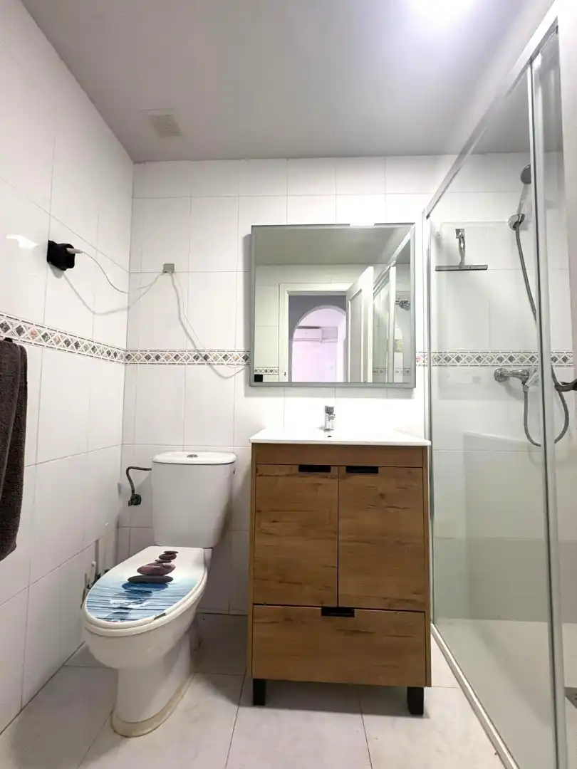 Bany de Casa o xalet en venda en Torrevieja amb Moblat i Piscina comunitària