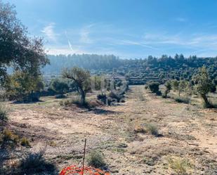 Residencial en venda en L'Albagés