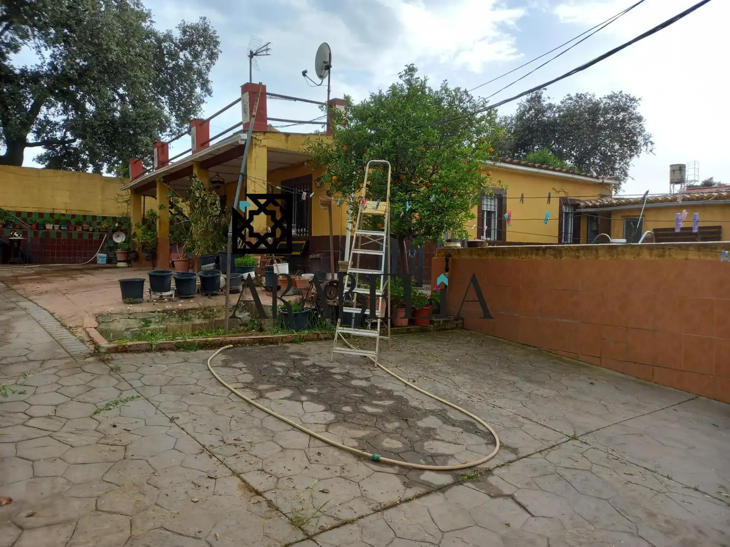 Jardín de Finca rústica en venta en Córdoba con Piscina comunitaria