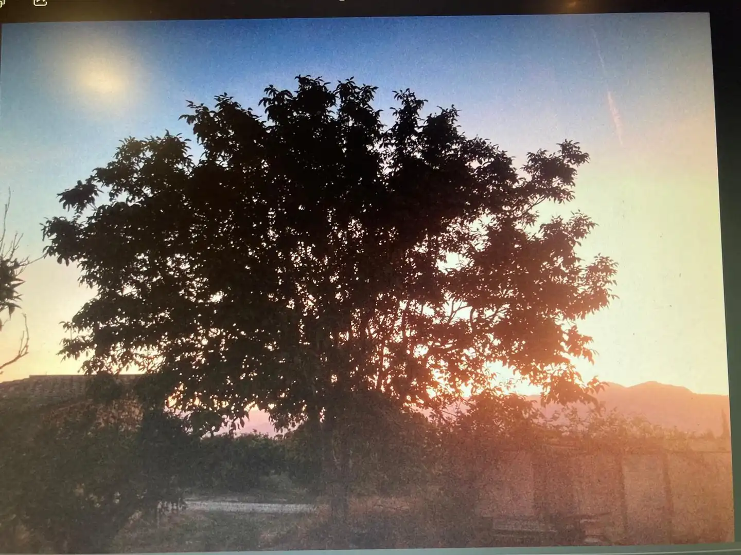 Vista exterior de Finca rústica en venda en Xerta amb Calefacció