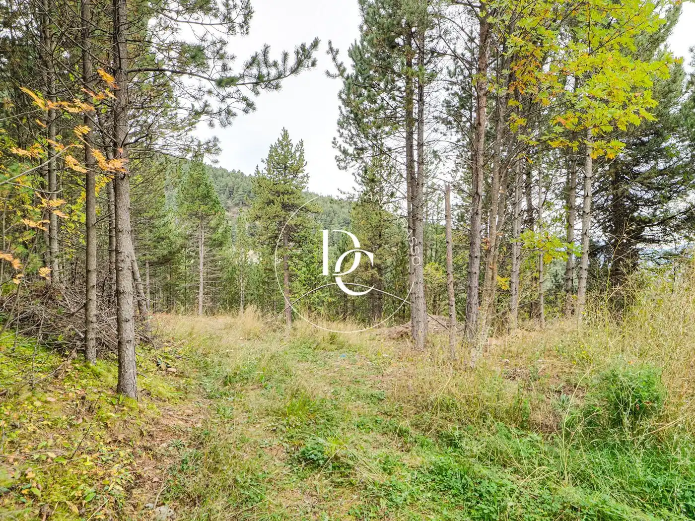 Residential for sale in Alp