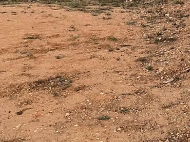 Terreno residenziale in vendita a Imaginalia - Llanos del Águila
