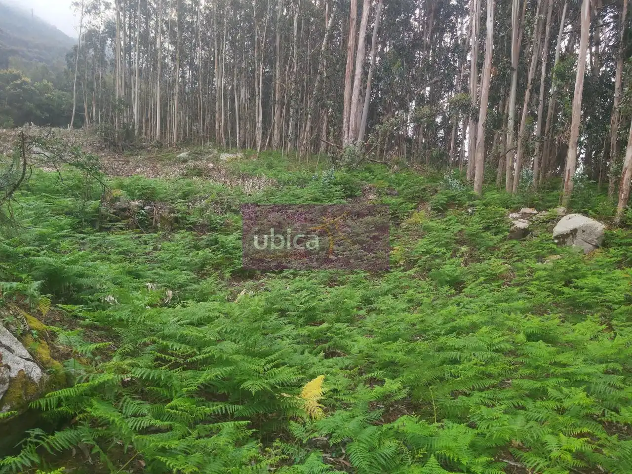 Terreno rustico in vendita a Oia, imagen 15