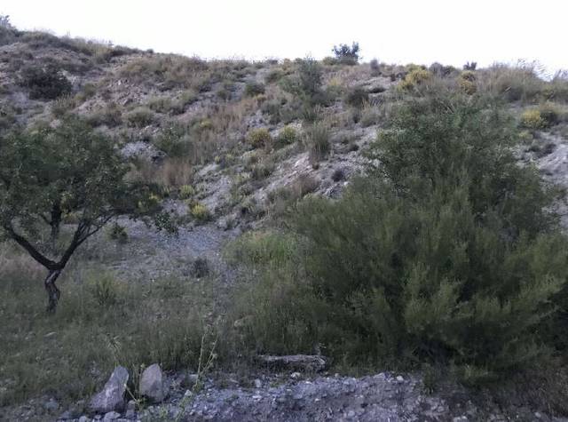 Terreno en Venta en Nogalte