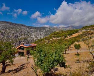 Jardí de Finca rústica en venda en Nigüelas amb Moblat, Forn i Internet