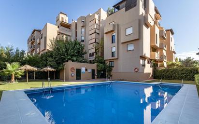 Swimming pool of Flat for sale in  Granada Capital  with Terrace and Balcony