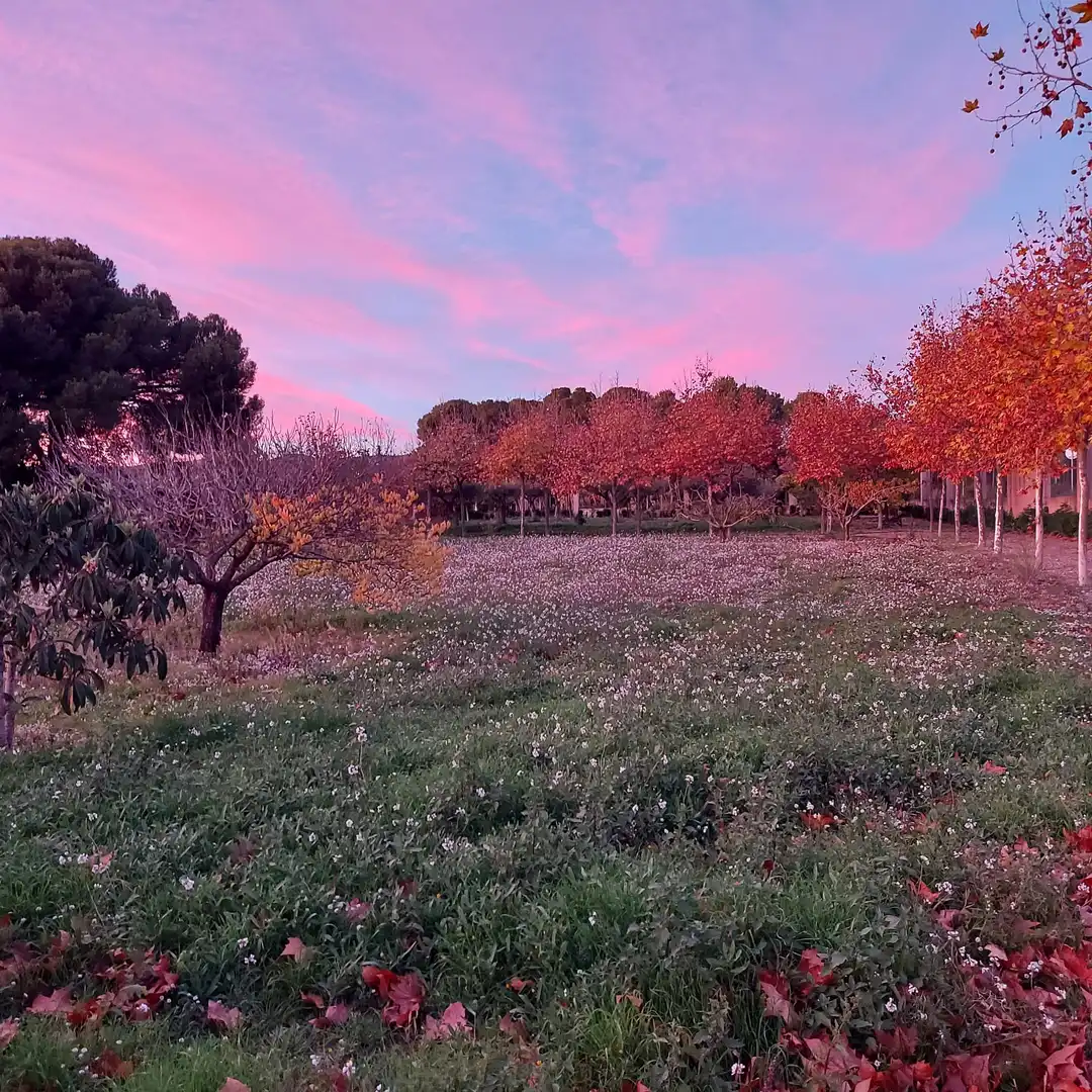 Houses for sale in Vilanova i la Geltrú