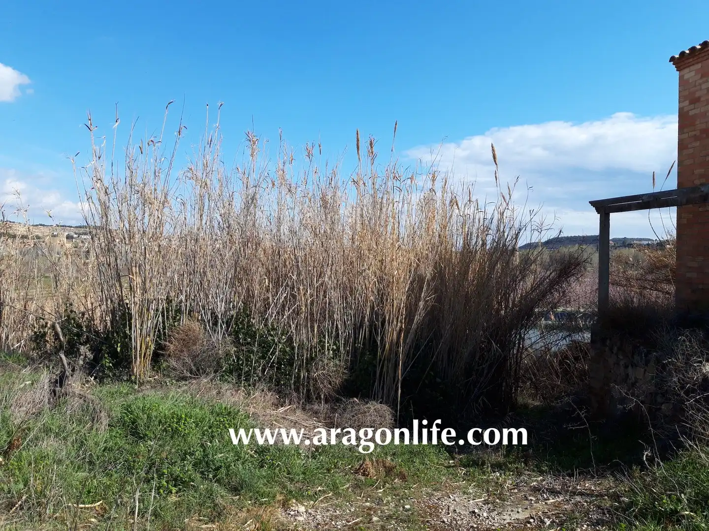 Casa o chalet en venta en Fabara