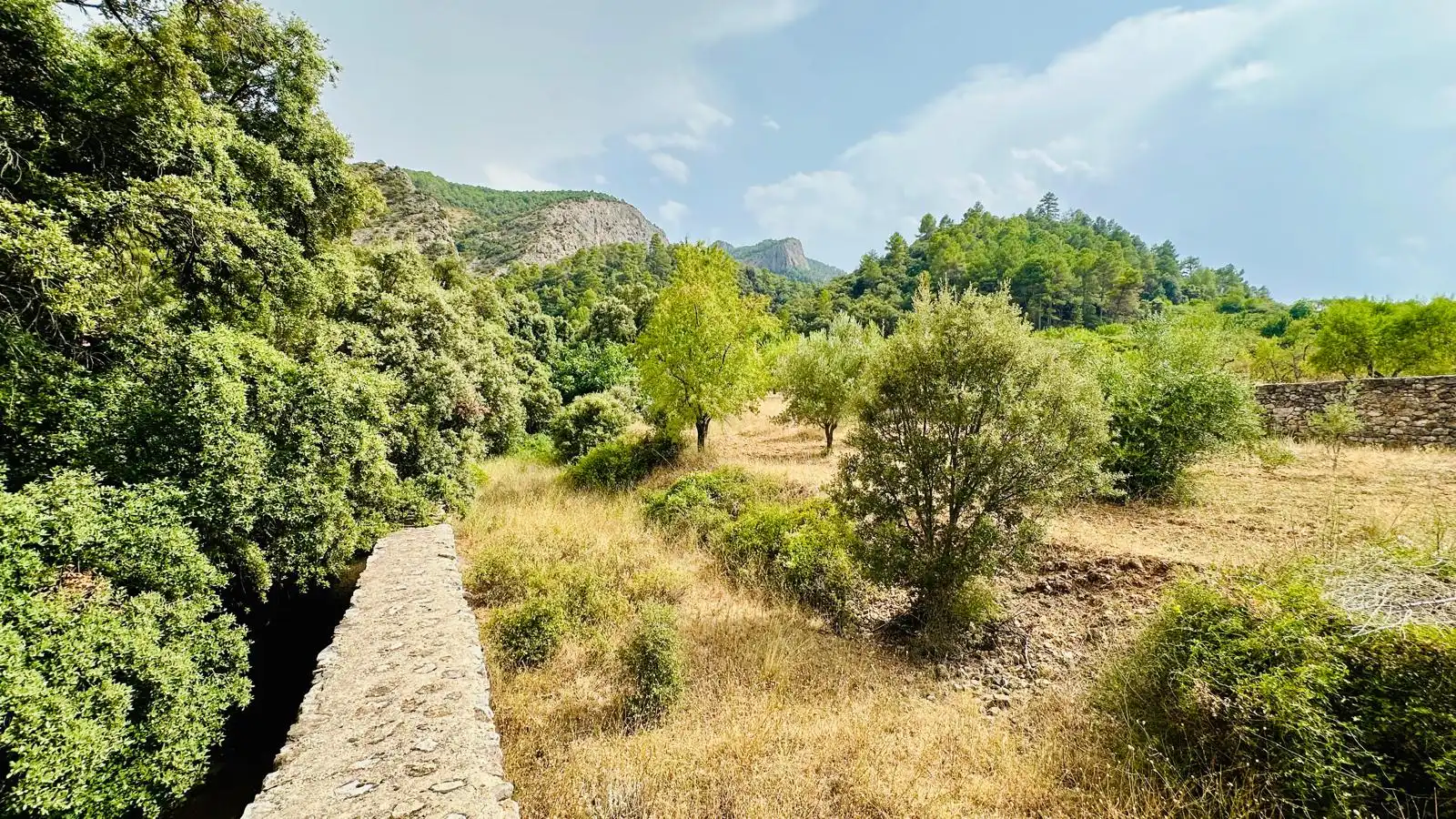 Rural land for sale in Horta de Sant Joan, imagen 15