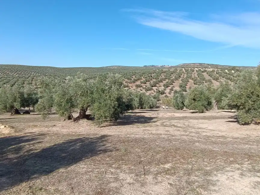 Land for sale in Baeza