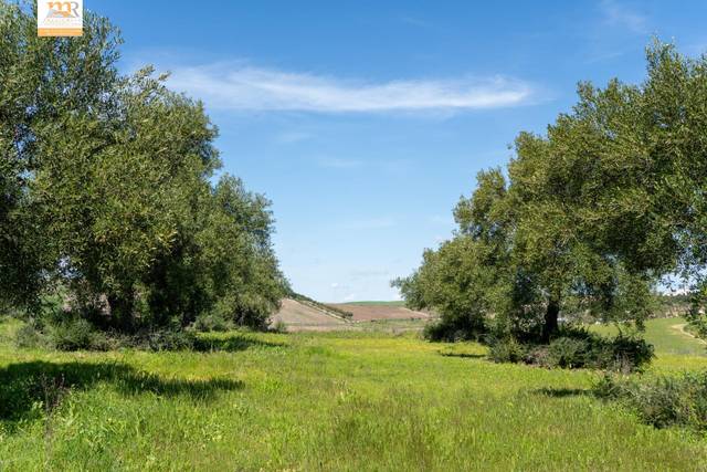 Finca rústica en Venta en  zona de cadiz en Astilleros - La Paz  - Loreto - El Corte Inglés