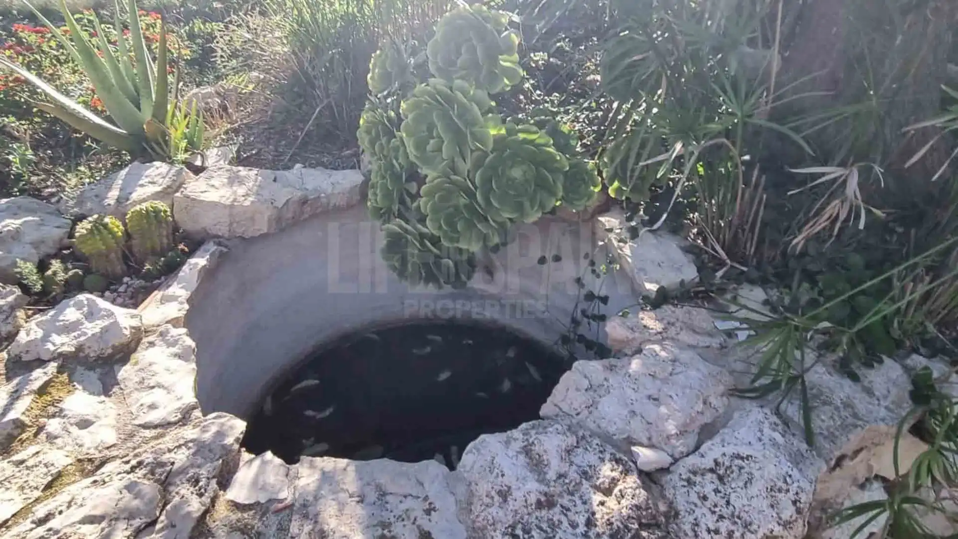 Casa rústica con piscina en venta en El Perelló, imagen 60