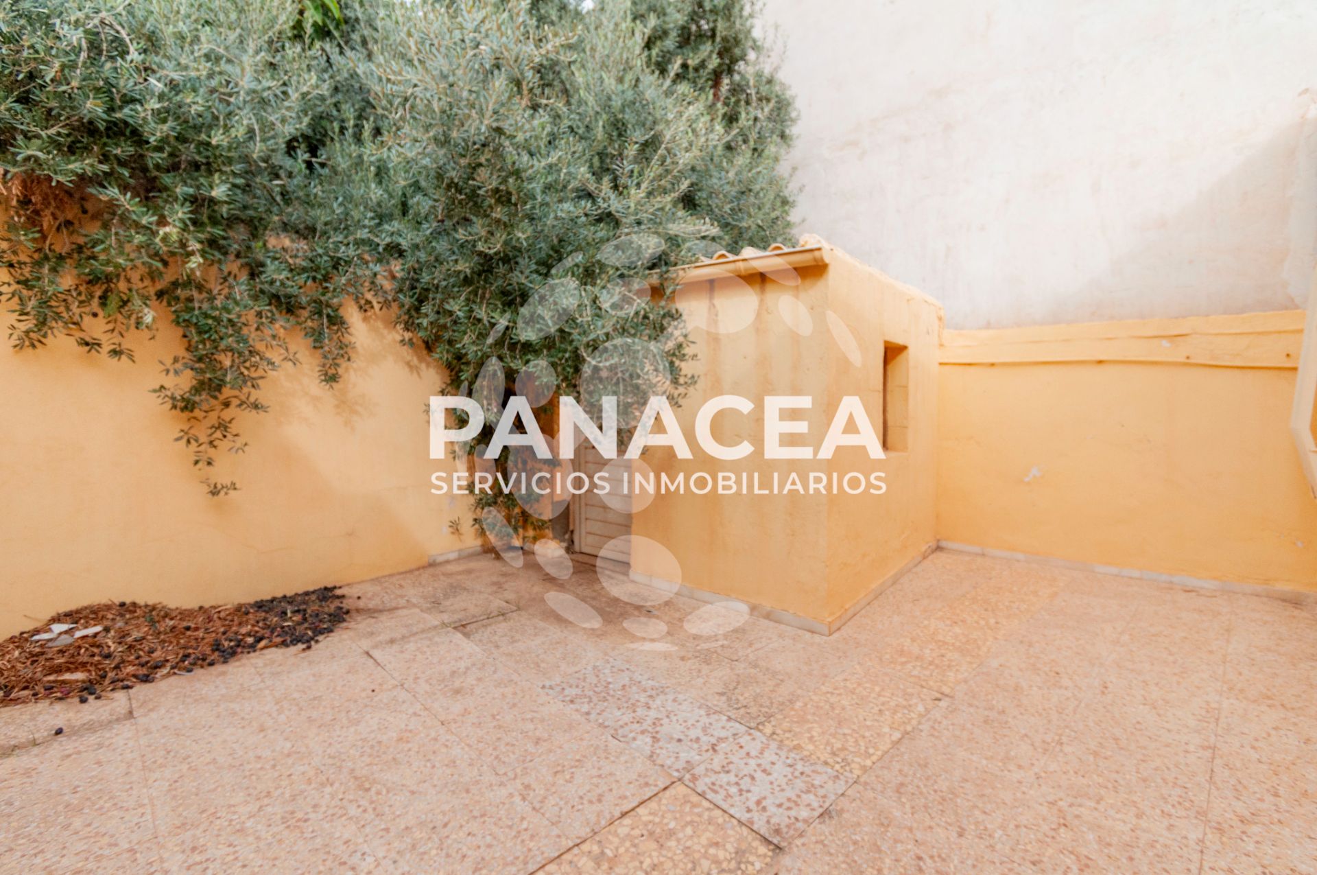 Garden of House or chalet for sale in Roquetas de Mar  with Terrace and Furnished