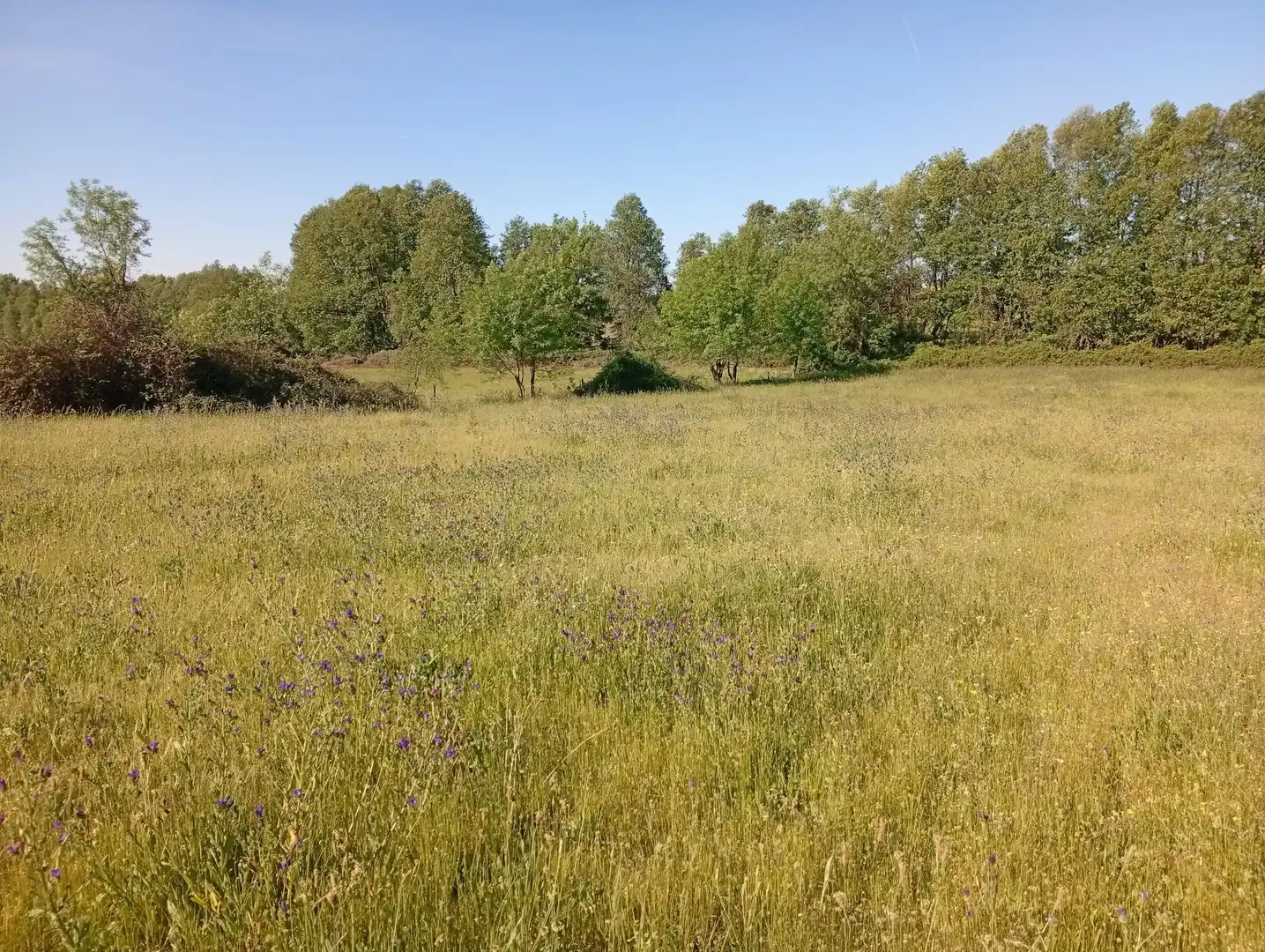 Terreni e lotti in vendita a Talaveruela de la Vera, imagen 64