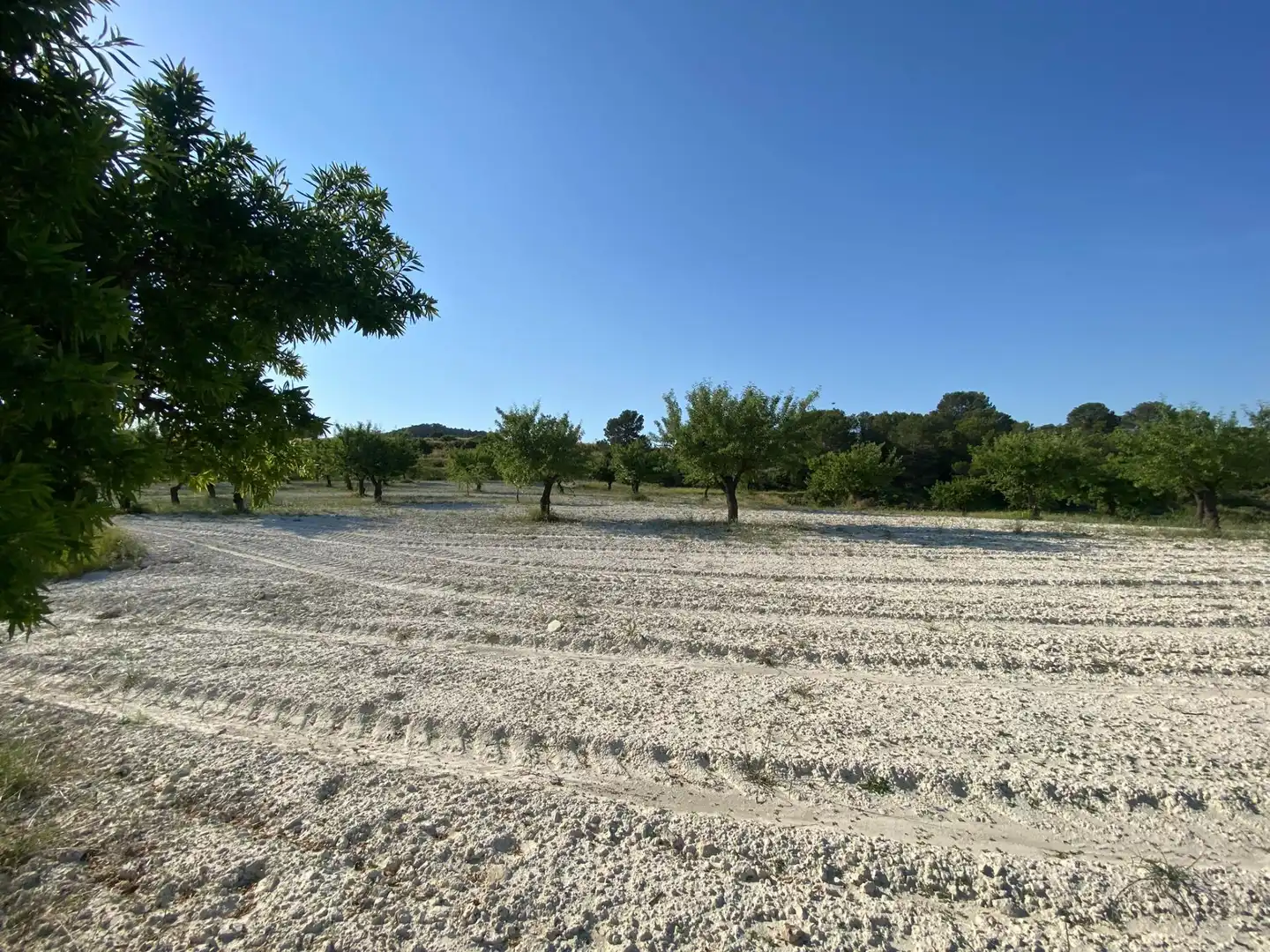 Villa à vendre à Moratalla, imagen 84