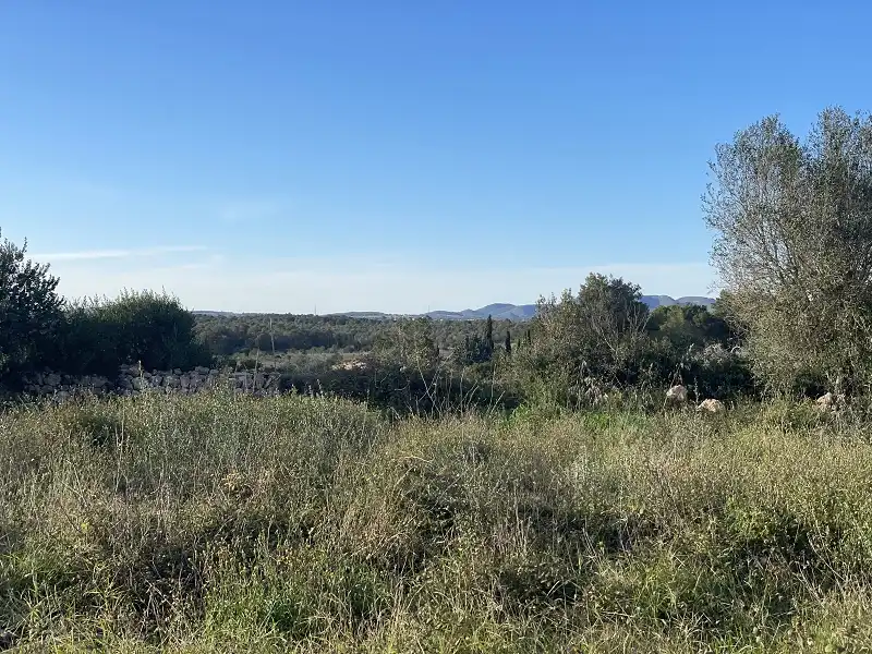 Finca rústica en venda en Manacor