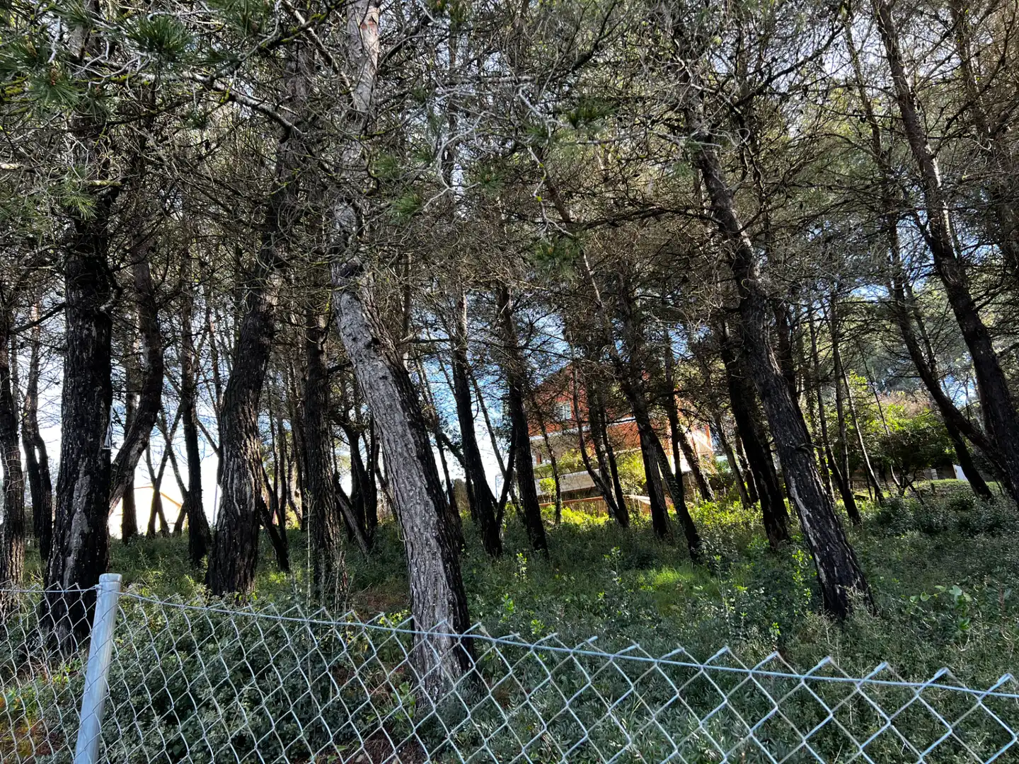 Residencial en venda en Olesa de Bonesvalls