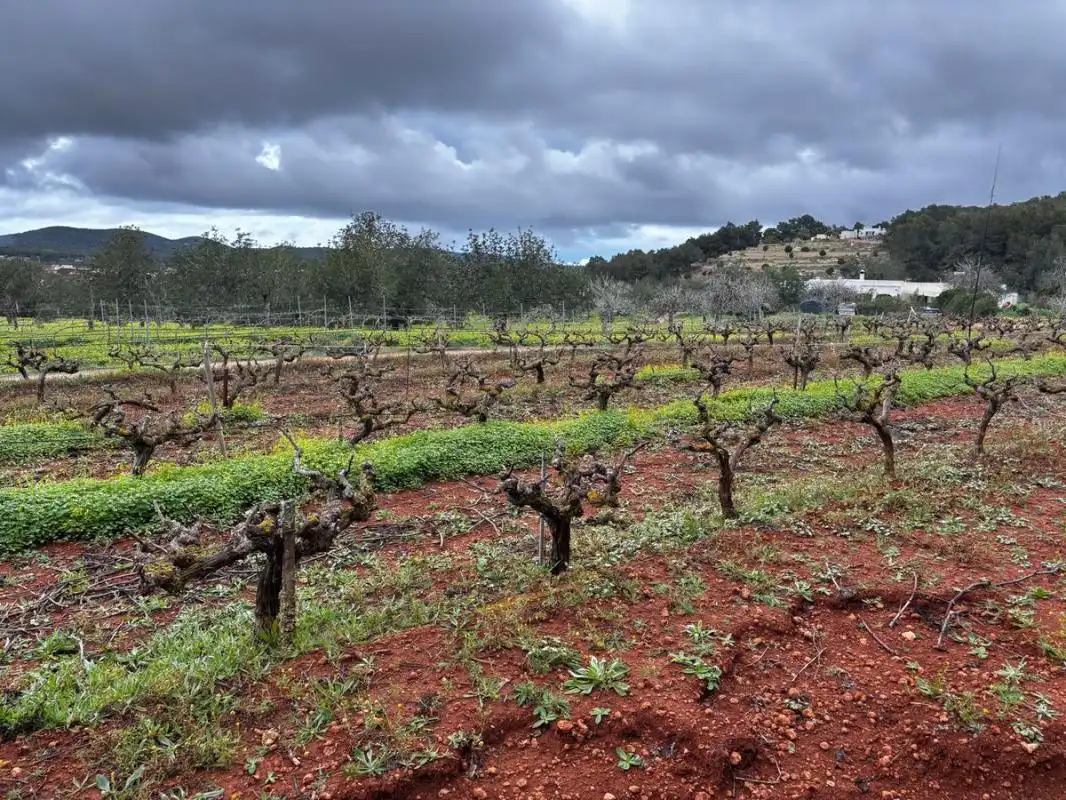 Land for sale in Sant Joan de Labritja