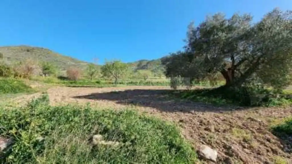 Terreni e lotti in vendita a Pedanías Oeste