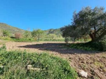Terreno rustico in vendita a Pedanías Oeste