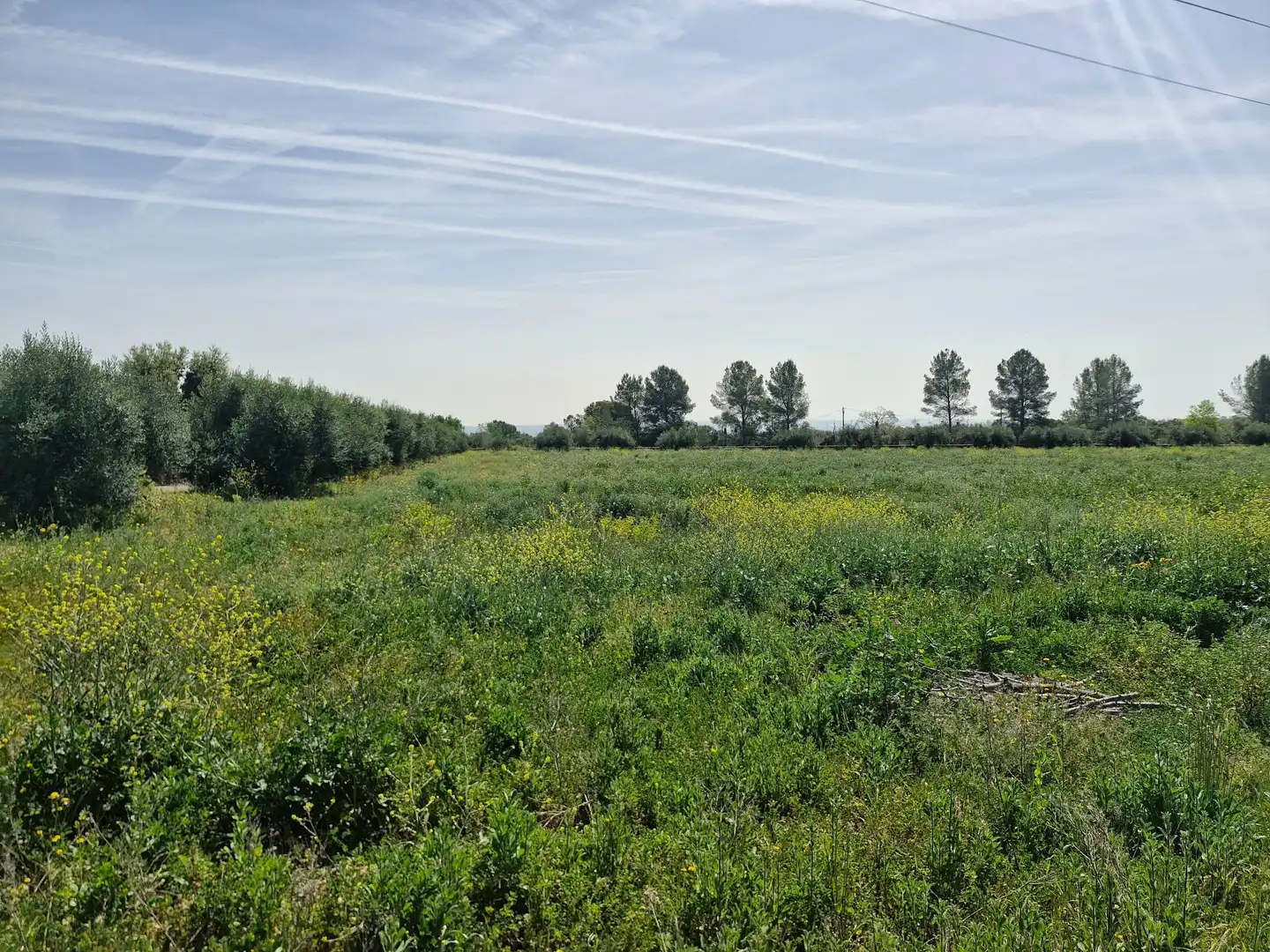 Terreno en venta en Alcover