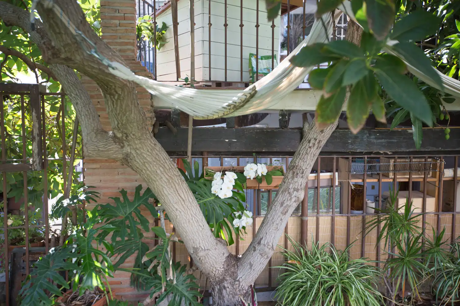Ground floor for rent in Bello Horizonte - Lindasol