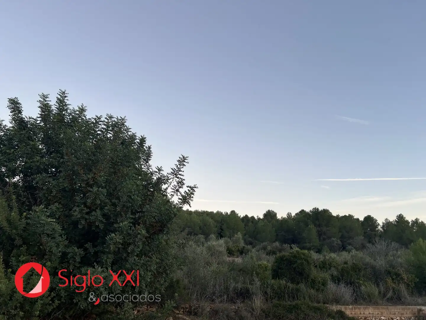 Terreni e lotti in vendita a La Vall d'Uixó, imagen 10