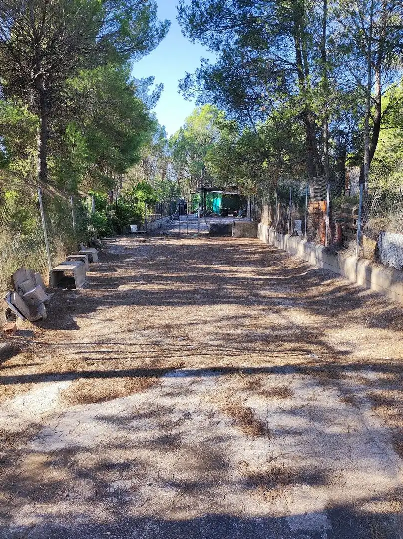 Finca rústica en venda en Tobarra amb Jardí privat, Terrassa i Traster