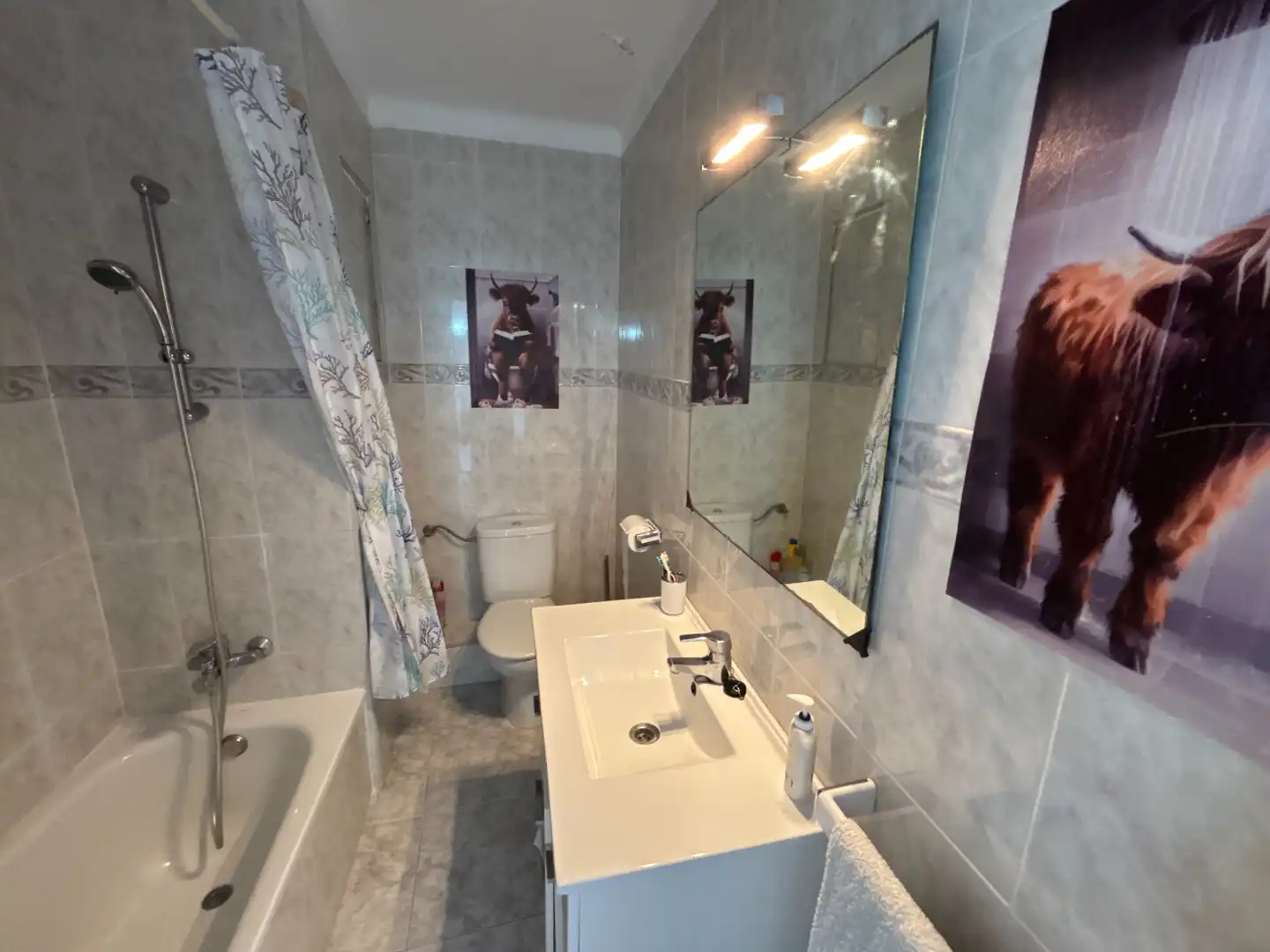 Bathroom of Flat for sale in Calvià  with Terrace, Furnished and Oven