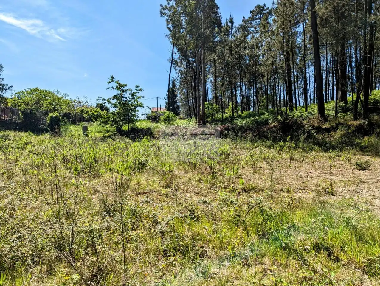 Residential land for sale in O COVELO. ATIOS, imagen 5