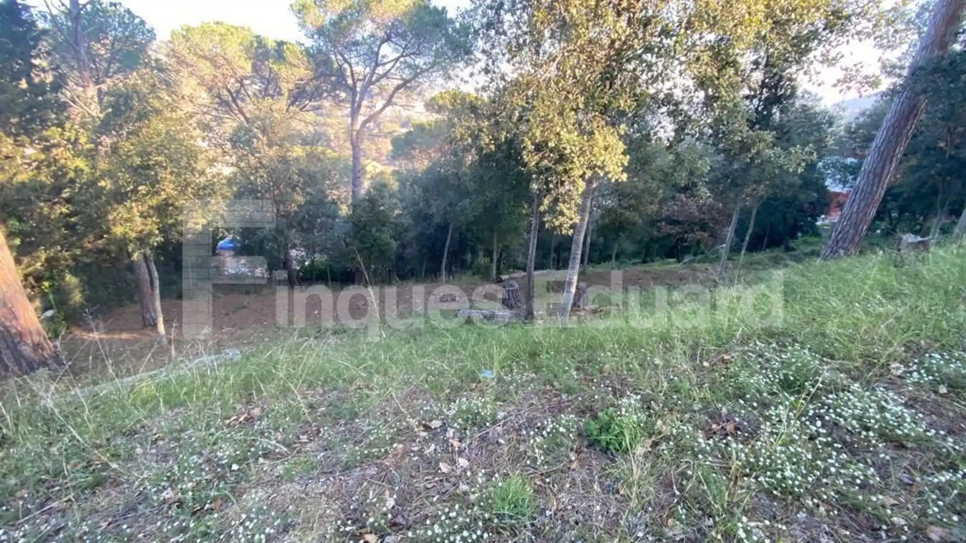 Residencial en venta en Argentona